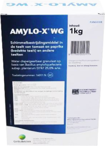 AmyloXWG1kg_product