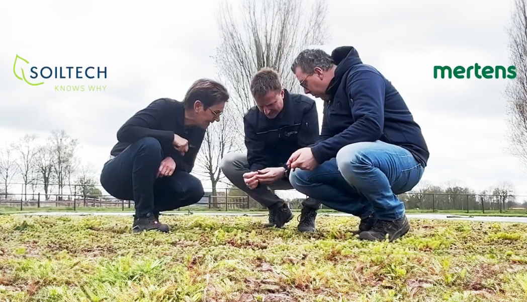 RootShoot_Sedumplus_nieuws_GROEN_2